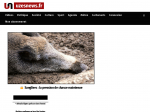 uzesnews.fr